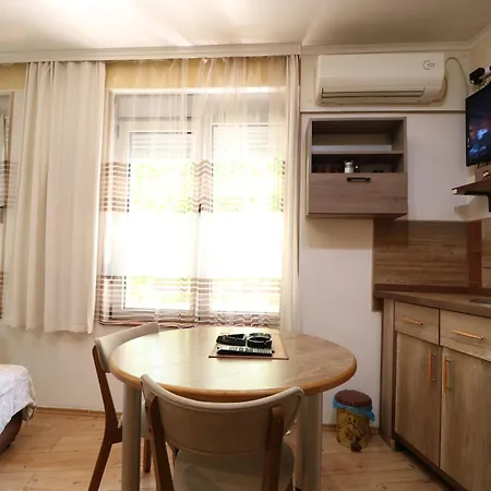 Vojvoda Apartment